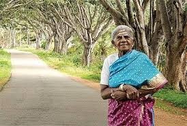 Saalumarada Thimmakka Age, Biography, Life Work, and Environmental Contributions